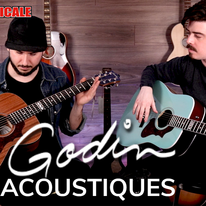 Godin Acoustics - Everything to know about their many brands