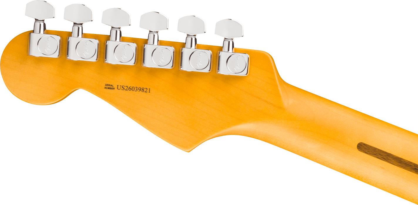 Fender American Professional Stratocaster, Maple Fingerboard, Black