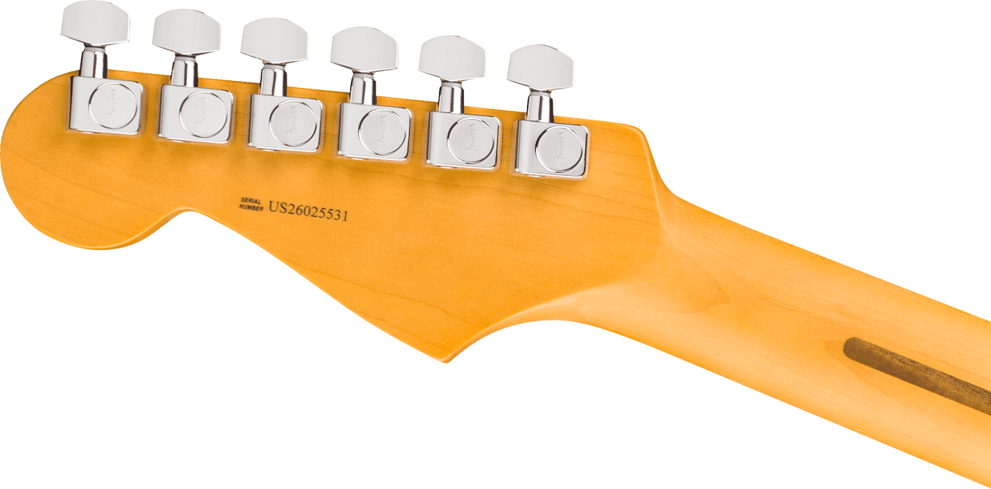 Fender American Professional Stratocaster, touche en érable, Dark Night