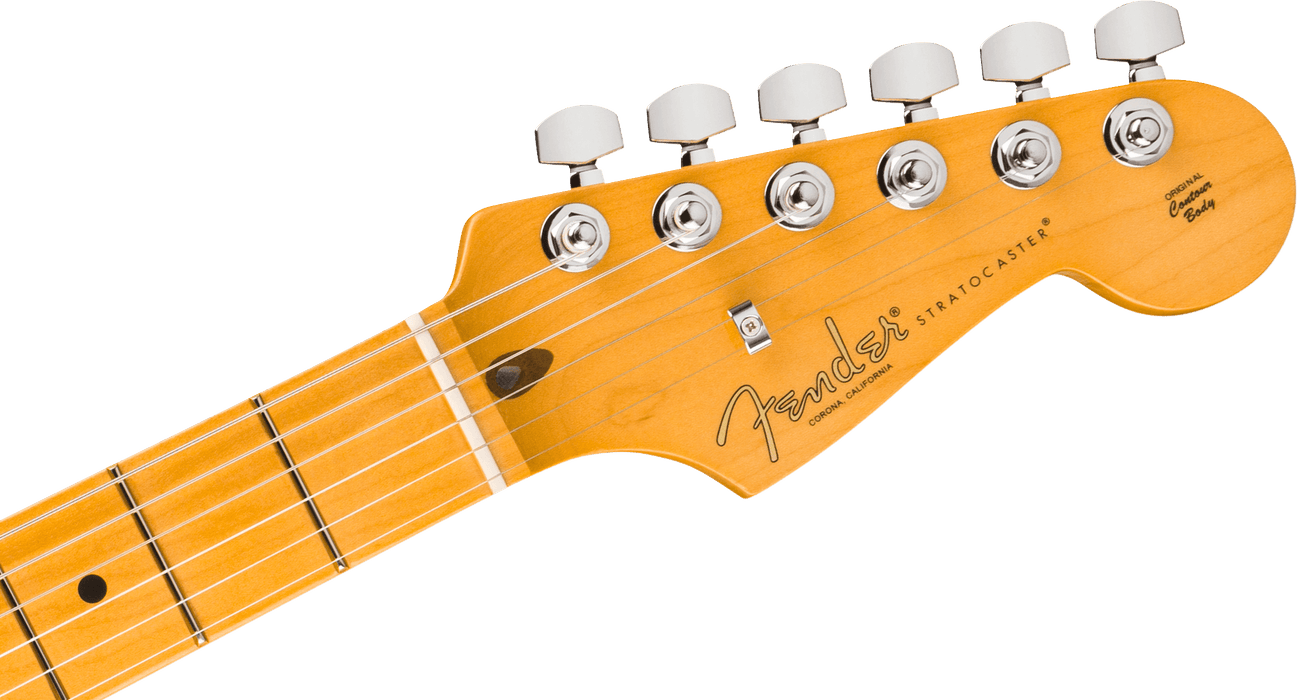 Fender American Professional Stratocaster, touche en érable, Dark Night
