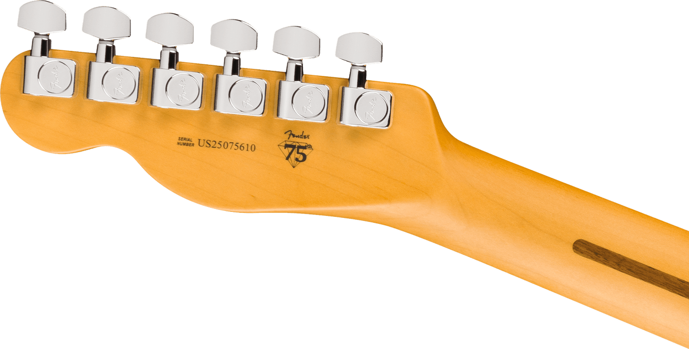 Fender American Professional Telecaster, Rosewood Fingerboard, Black