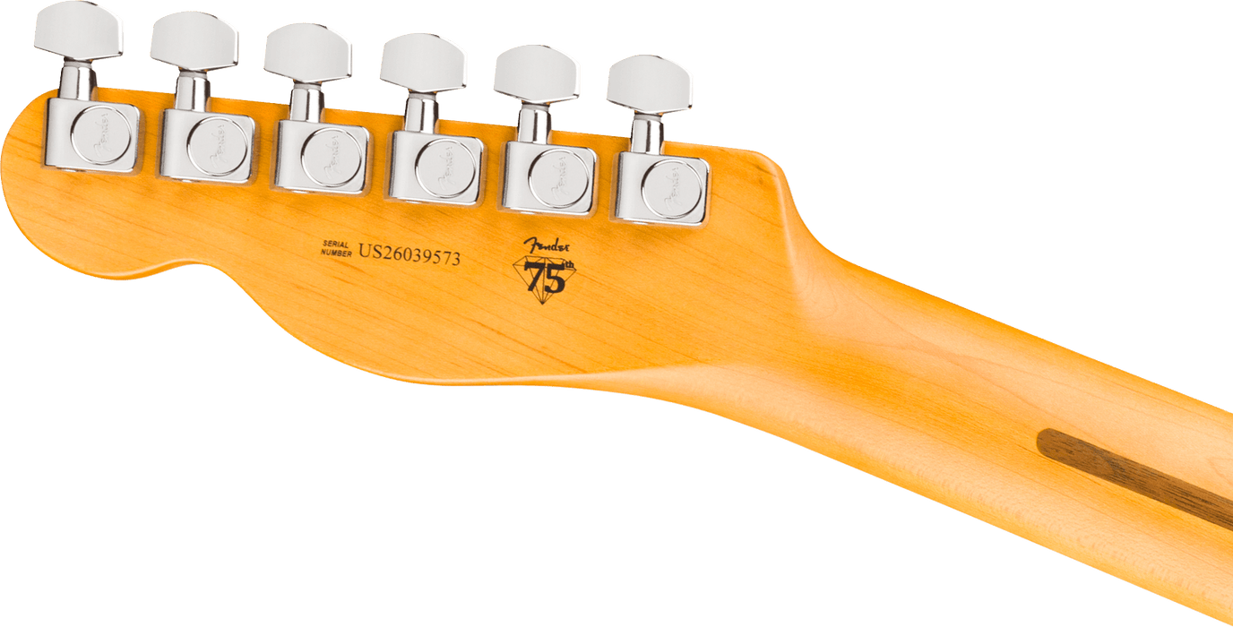 Fender American Professional Telecaster, Rosewood Fingerboard, Natural