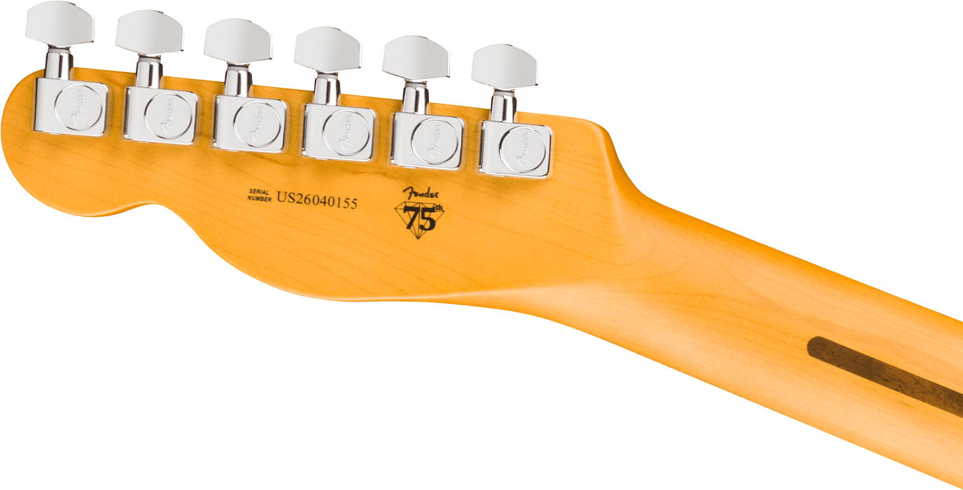 Fender American Professional Telecaster, touche en palissandre, Dark Night