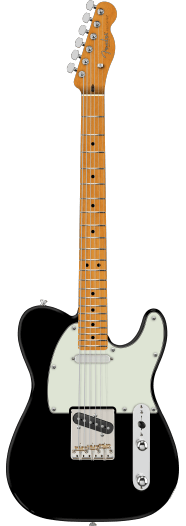 Fender American Professional Telecaster, touche en érable, noir