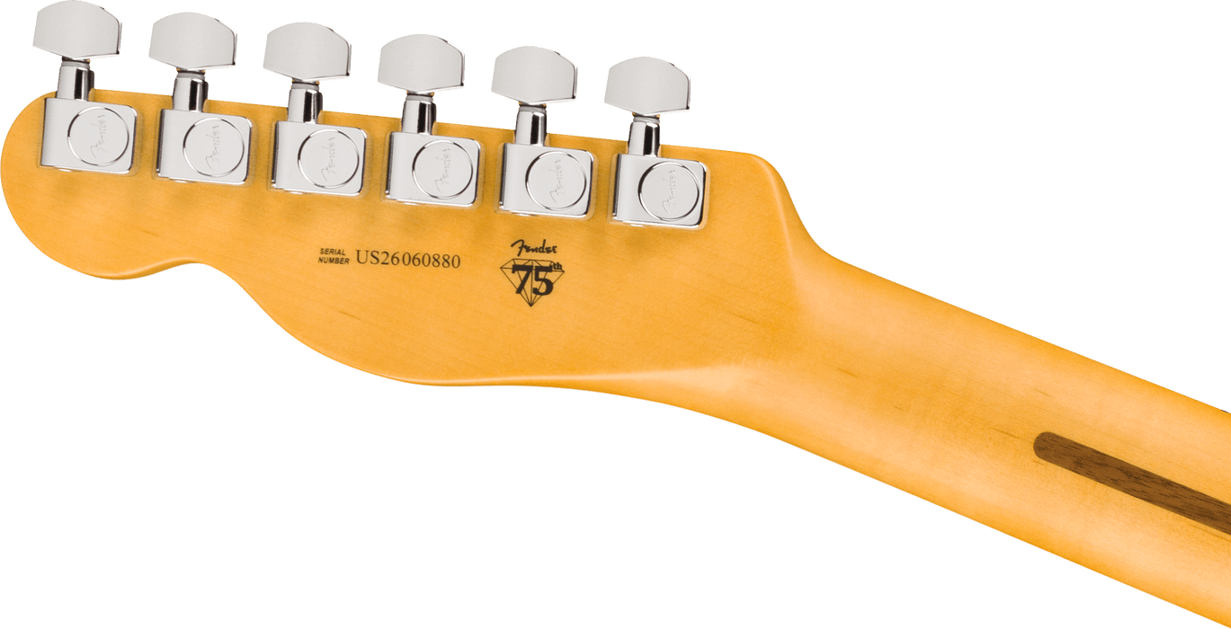 Fender American Professional Telecaster, touche en érable, noir