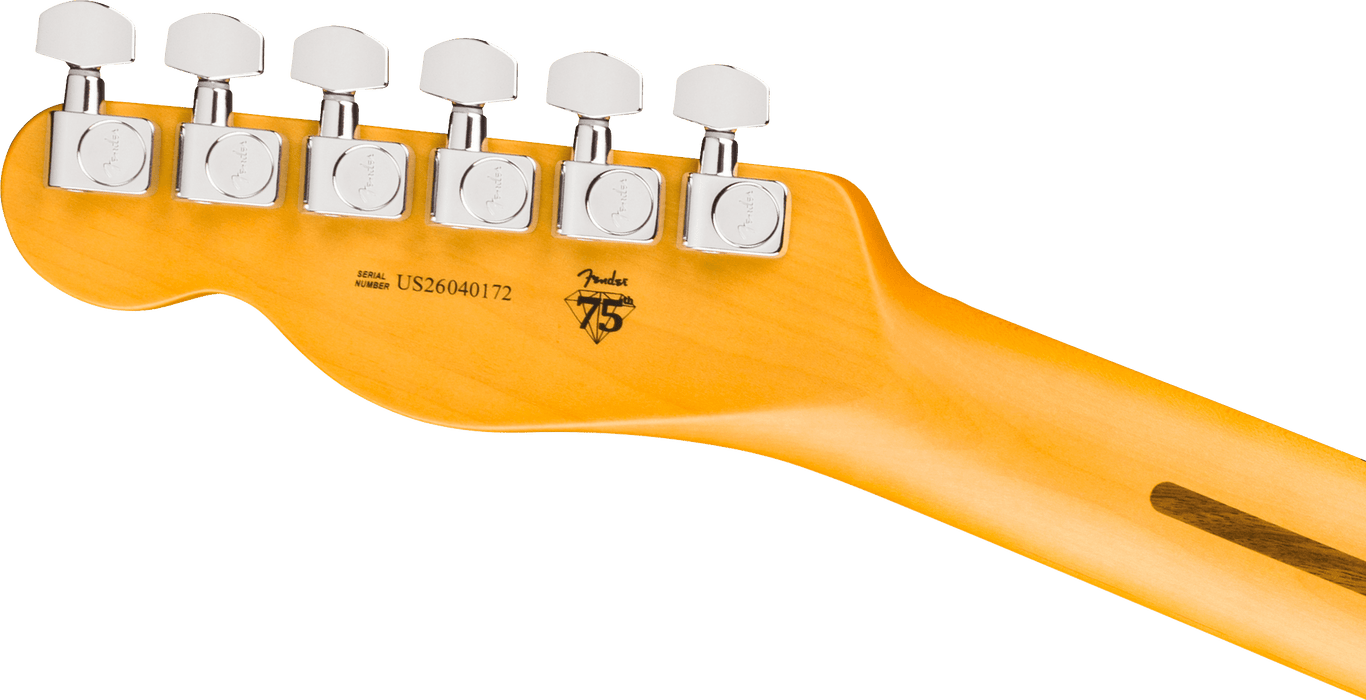 Fender American Professional Telecaster, Maple Fingerboard, Natural