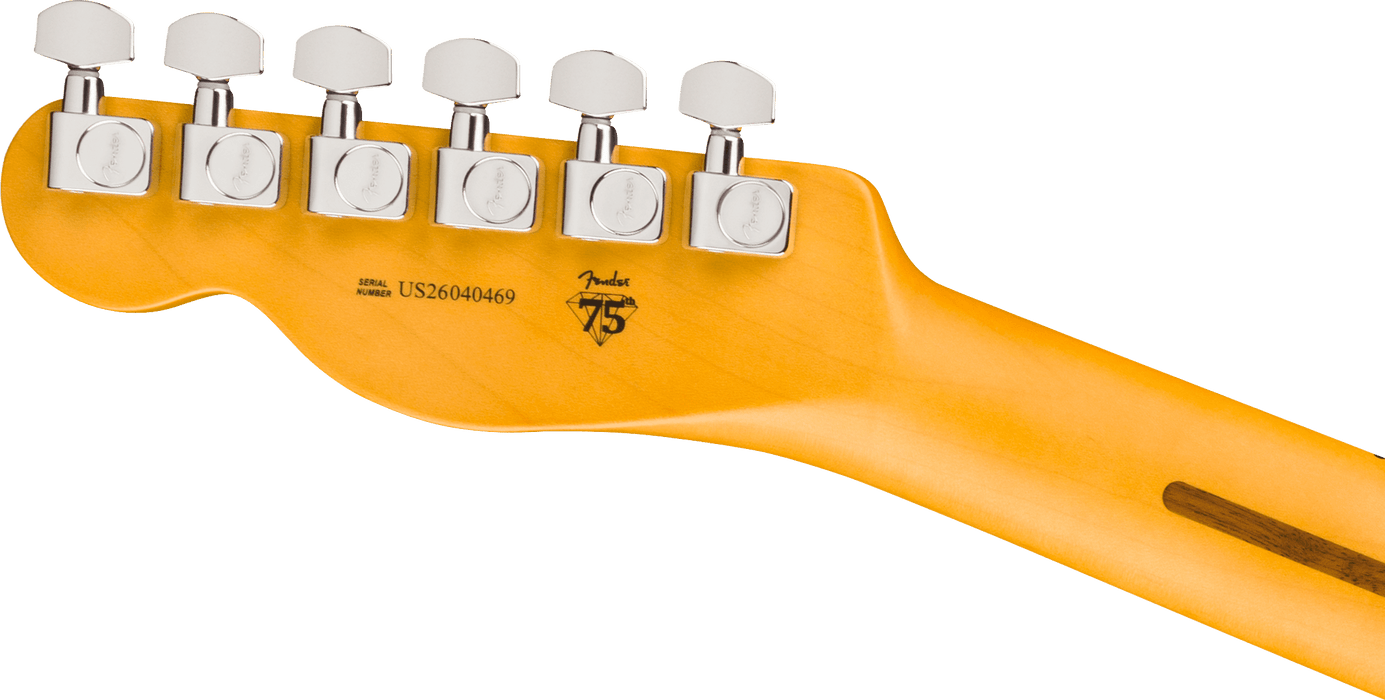 Fender American Professional Telecaster, Maple Fingerboard, Aged Cherry Burst