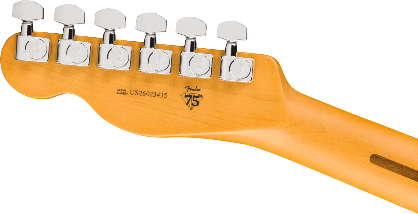 Fender American Professional Hot Shot Telecaster, Rosewood Fingerboard, Oxblood