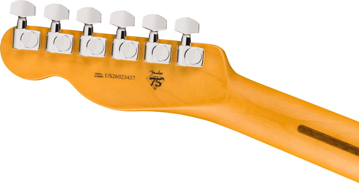 Fender American Professional Hot Shot Telecaster, touche en palissandre, Dark Night