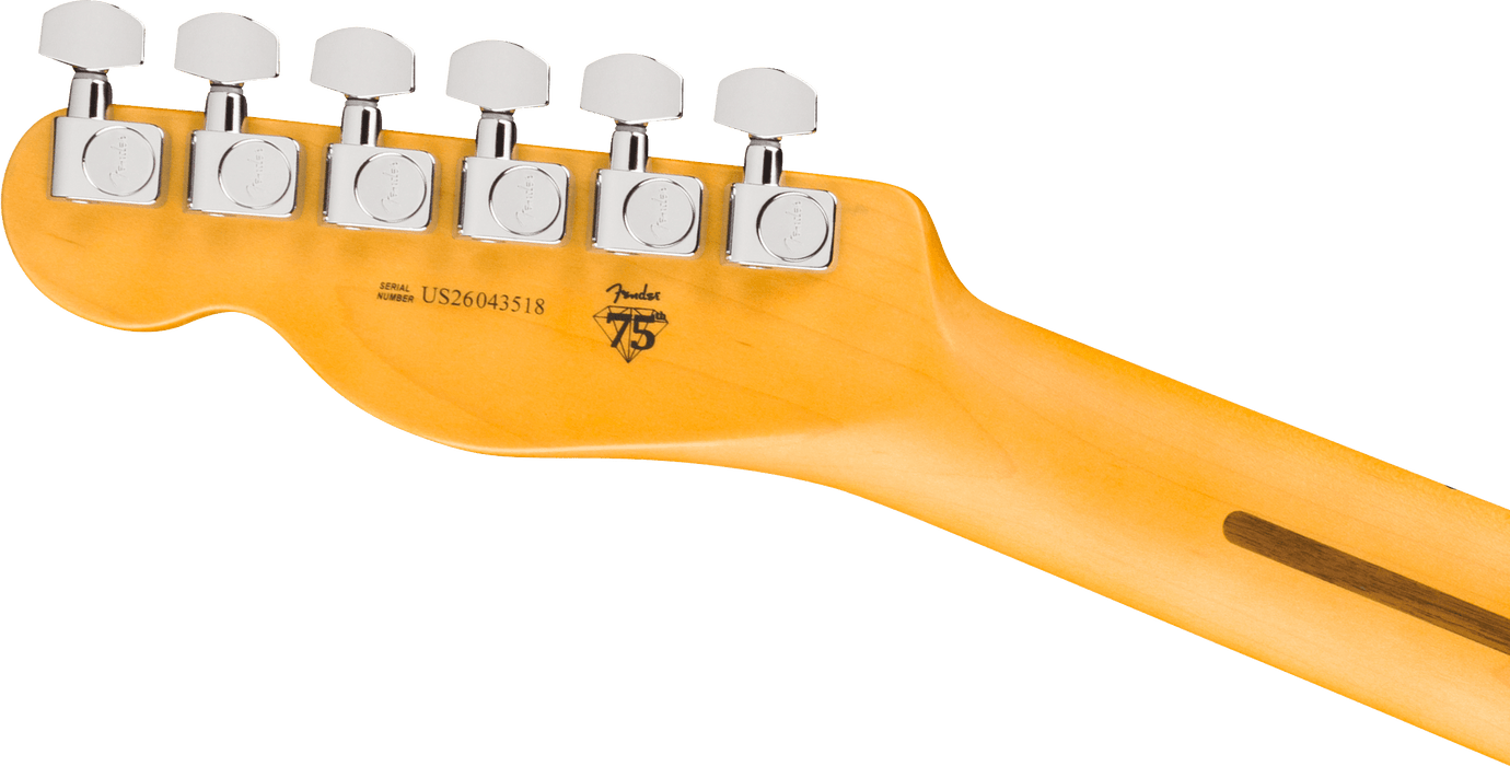 Fender American Professional Hot Shot Telecaster, Maple Fingerboard, Aged Cherry Burst