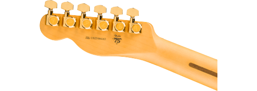 Fender 75th Anniversary Fender American Professional II Custom Telecaster, Maple Fingerboard, 2-Color Sunburst