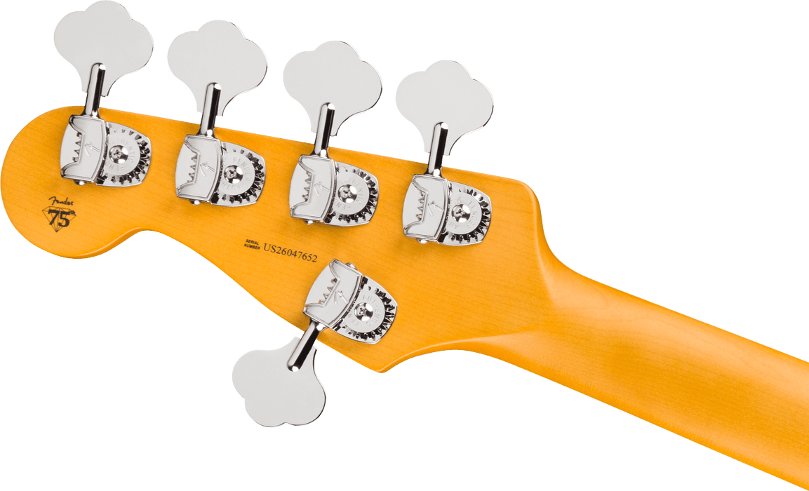 Fender American Professional Precision Bass V, Rosewood Fingerboard, Dark Night