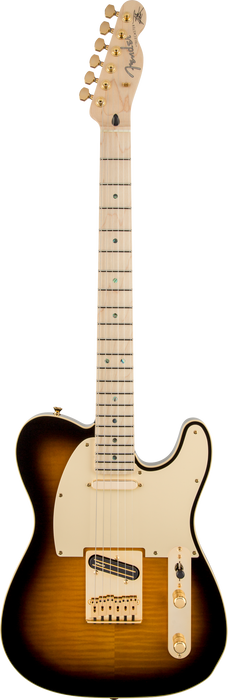 Fender Richie Kotzen Telecaster, Maple Fingerboard, Brown Sunburst