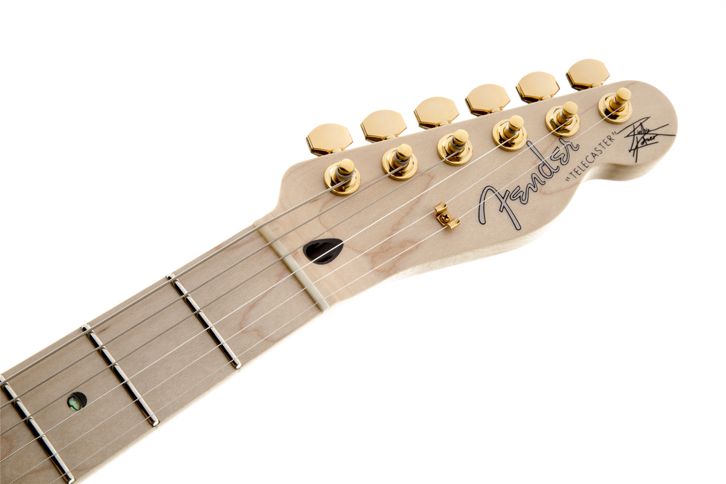 Fender Richie Kotzen Telecaster, Maple Fingerboard, Brown Sunburst