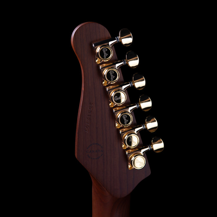 Godin Artisan TC, Whiskeyburst MN - SF