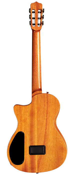 Ambre naturel de scène de Cordoue