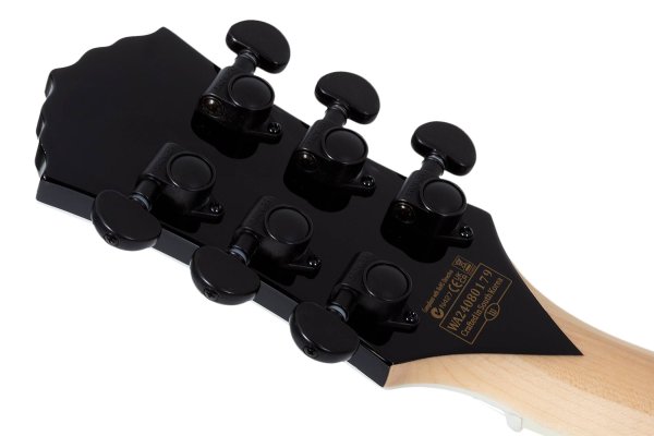 Wylde Audio Barbarian Special Edition Electric Guitar, Blood River Burl
