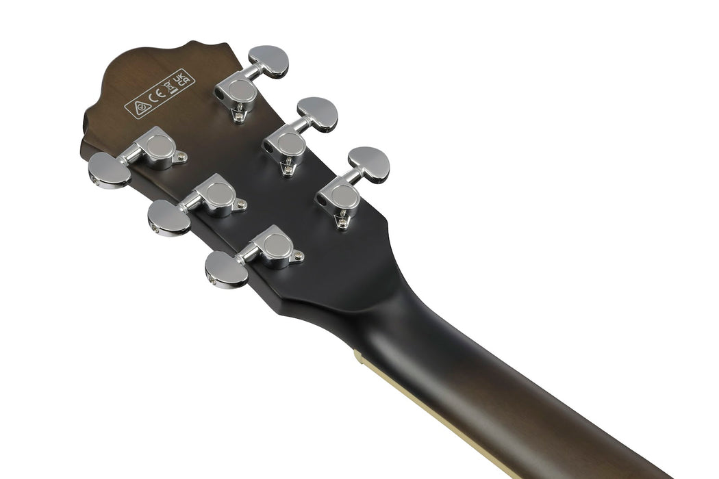 Ibanez Artcore AS53 - Transparent Black Flat