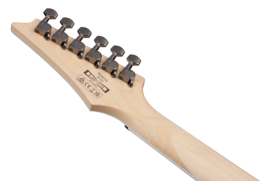 Ibanez RG Standard Electric Guitar - Sea Shore Matte