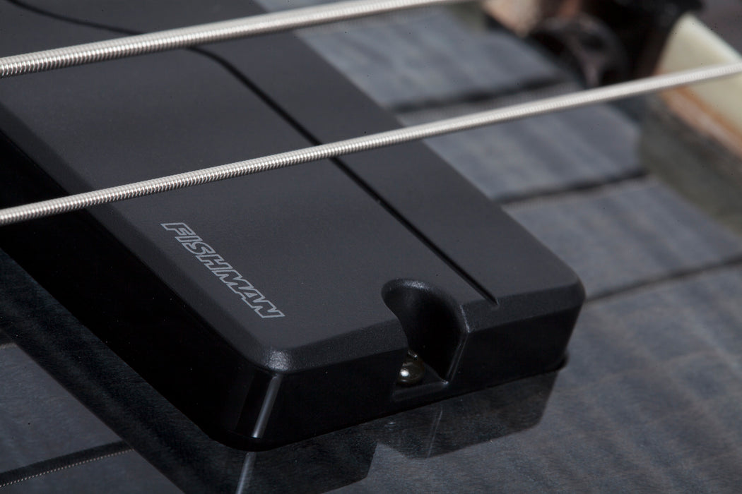 Schecter SLS Elite-4 Black Fade Burst