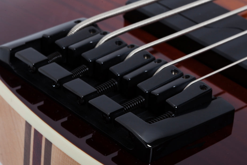 Schecter SLS Elite-5 Antique Fade Burst