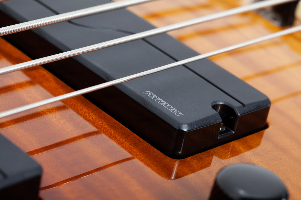 Schecter SLS Elite-5 Antique Fade Burst