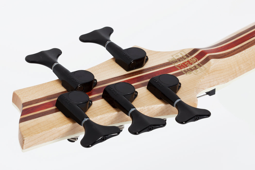 Schecter SLS Elite-5 Antique Fade Burst