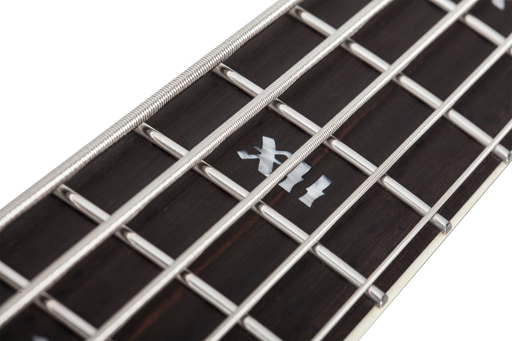 Schecter SLS Elite-5 "Evil Twin" Satin Black