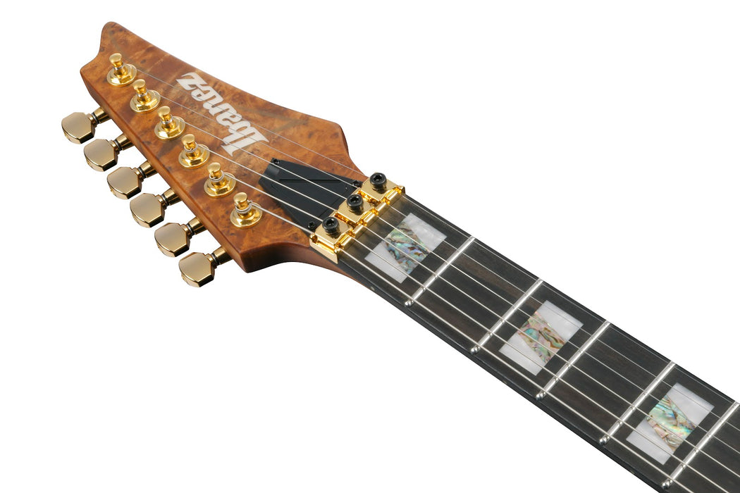 Ibanez RGT1220PBABS RG Premium - Antique Brown Stained