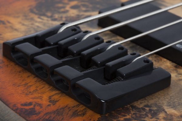 Schecter Riot-4 Inferno Burst