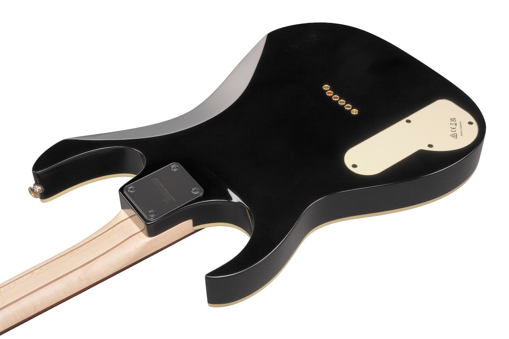 Ibanez PGM50BK - Paul Gilbert Signature 6-String Electric Guitar w/Bag -Black