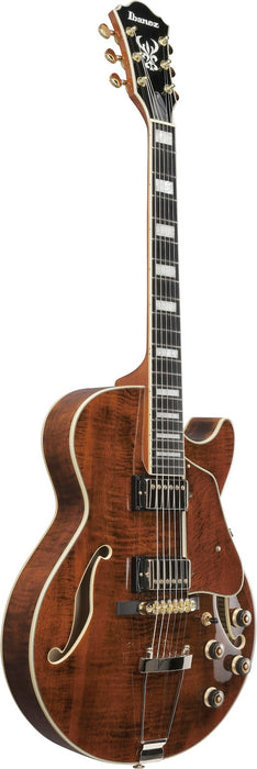 Ibanez AG95MGDA - AG Artcore Expressionist 6-String Electric Guitar - Dark Amber