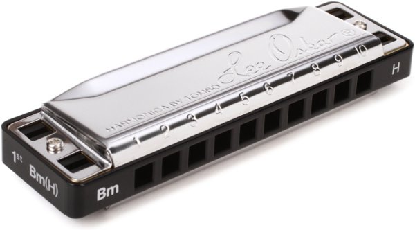 Lee Oskar 1910H-MIN-B-FLAT Natural Harmonic Harmonica Key of Minor B Flat
