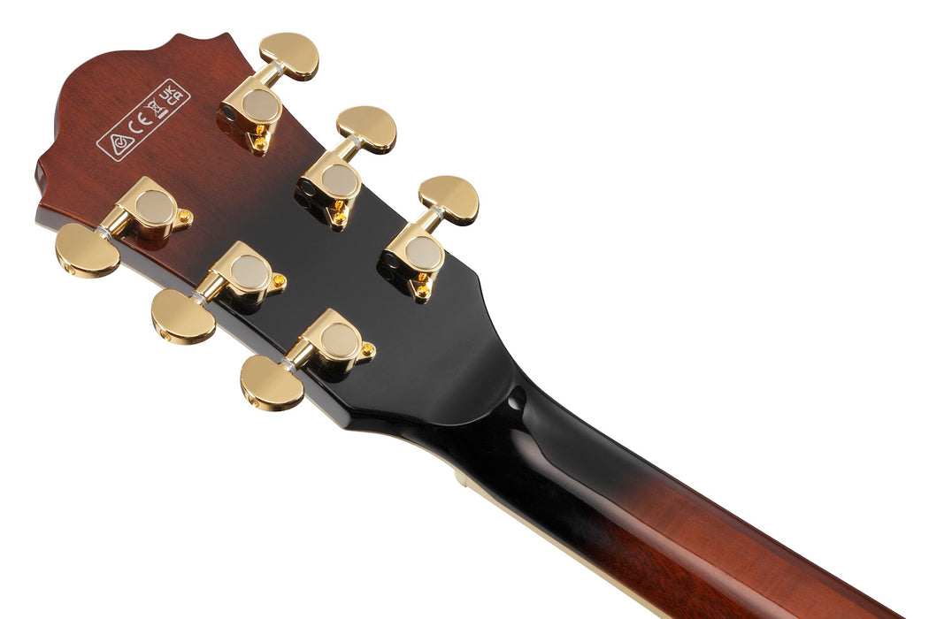 Ibanez Artcore Expressionist Series Hollowbody Guitar - Dark Brown Sunburst