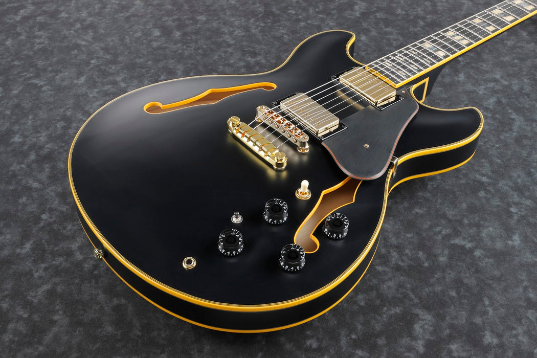 Ibanez JSM20BKL - John Scofield Signature 6-String Electric Guitar w/Case - Black Low Gloss