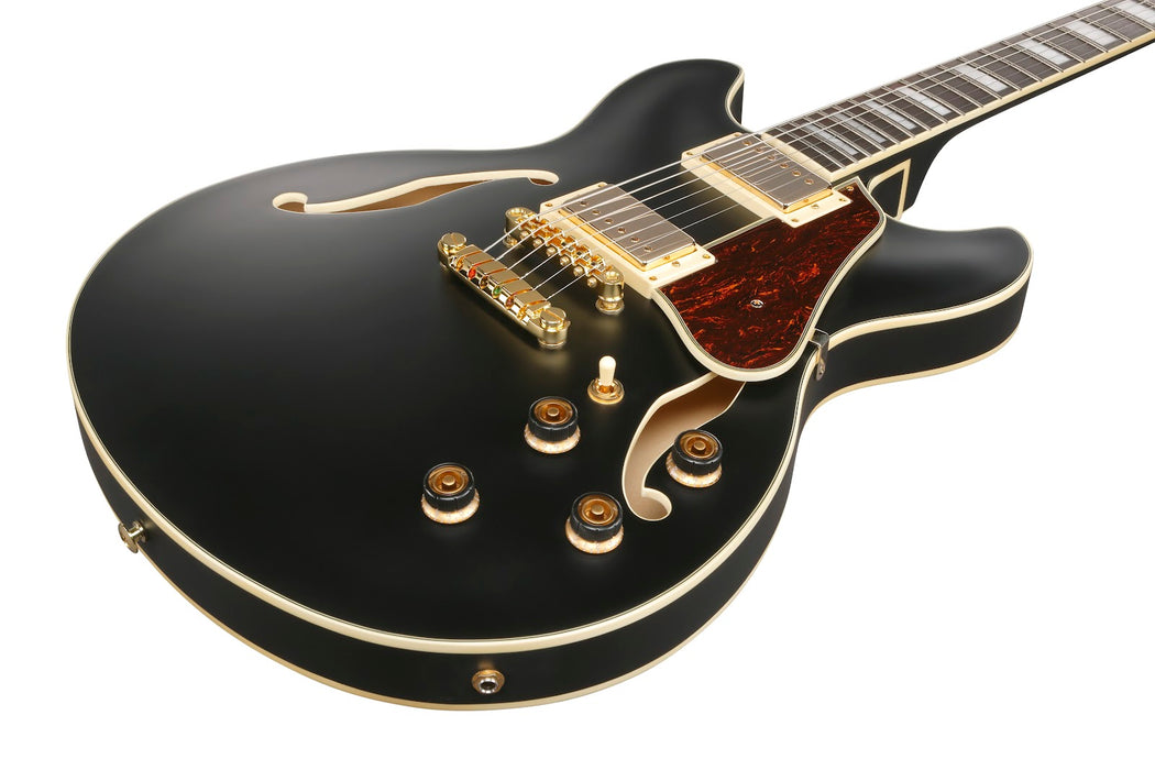 Ibanez AS73GBKF - AS Artcore 6-String Electric Guitar  - Black Flat