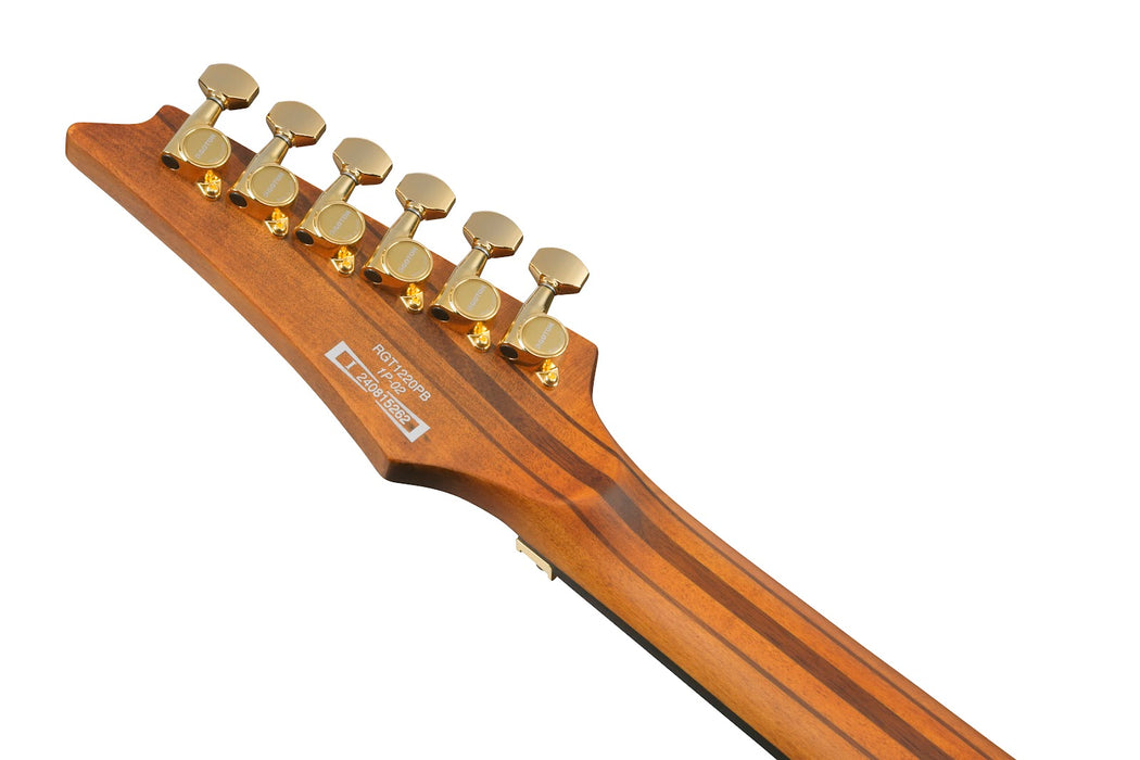 Ibanez RGT1220PBABS RG Premium - Antique Brown Stained