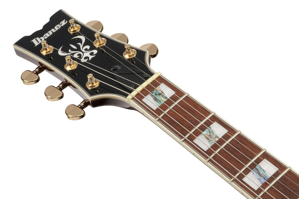 Ibanez AR320MBM - AR Standard 6-String Electric Guitar  - Midnight Black Metallic