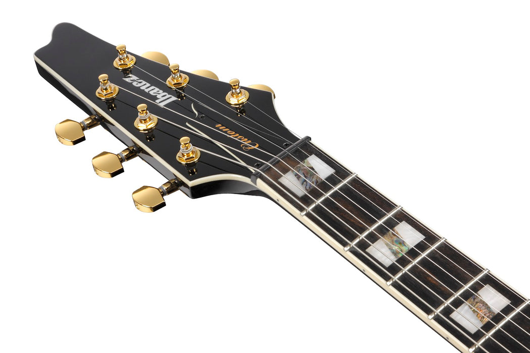 Ibanez FRM350BK - Paul Gilbert Signature 6-String Electric Guitar w/Bag - Black