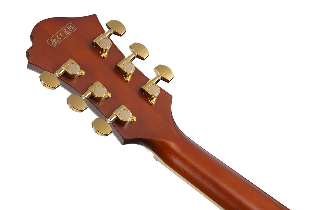 Ibanez PM3CNAL - Pat Metheny Signature 6-String Electric Guitar w/Case - Natural Amber Low Gloss
