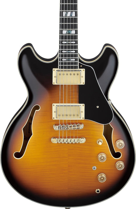 Ibanez JSM10VYS - John Scofield Signature  6-String Electric Guitar w/Case - Vintage Yellow Sunburst