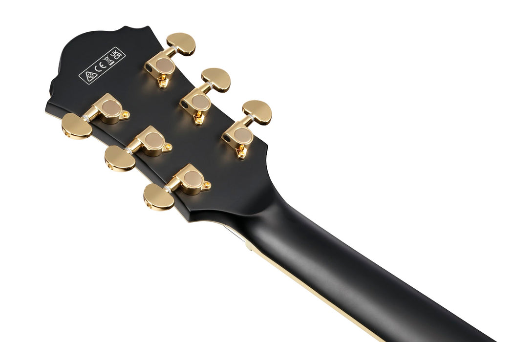 Ibanez AF75G Hollow Body Artcore - Black Flat