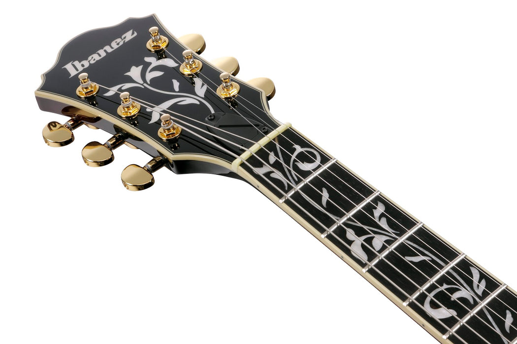 Ibanez Artcore Expressionist Series Hollowbody Guitar - Dark Brown Sunburst
