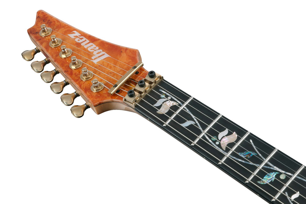 Ibanez IV1RG - RG Visions 6-String Electric Guitar w/Case