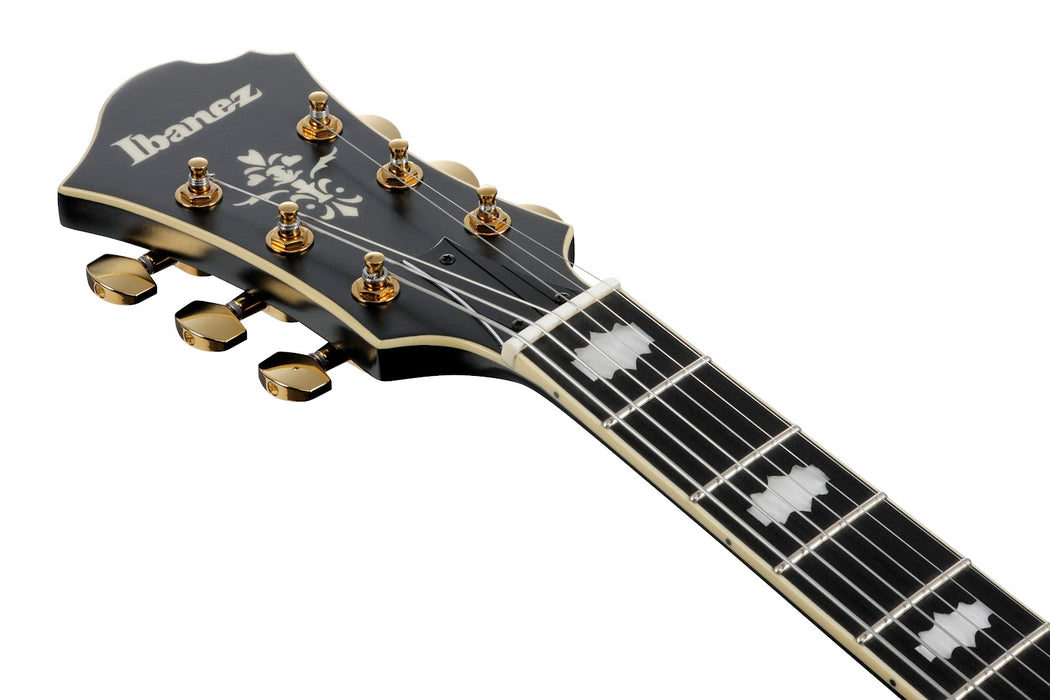 Ibanez PM3CBKL - Pat Metheny Signature 6-String Electric Guitar w/Case - Black Low Gloss