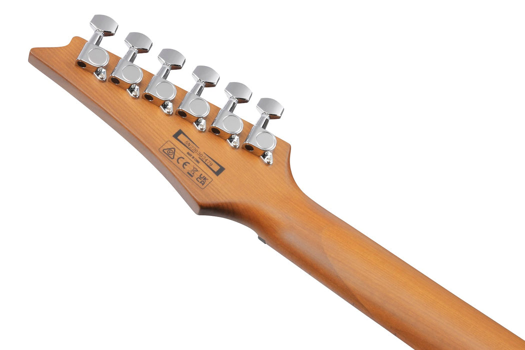 Ibanez GRG121SPBKN - GIO RG 6-String Electric Guitar - Blue Gradation