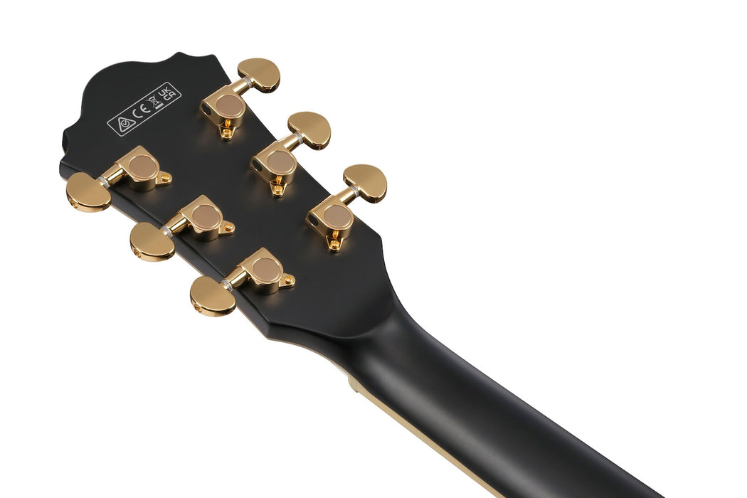 Ibanez AS73GBKF - AS Artcore 6-String Electric Guitar  - Black Flat