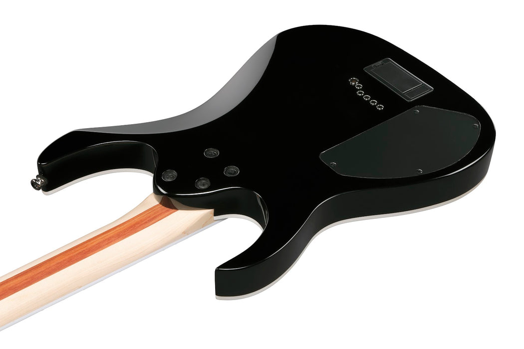 Ibanez RGIB21BK - RG Iron Label 6-String Electric Guitar - Black