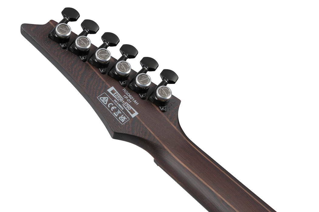 Ibanez RGD621AHMNF - RGD 6-String Electric Guitar - Midnight Shade Flat