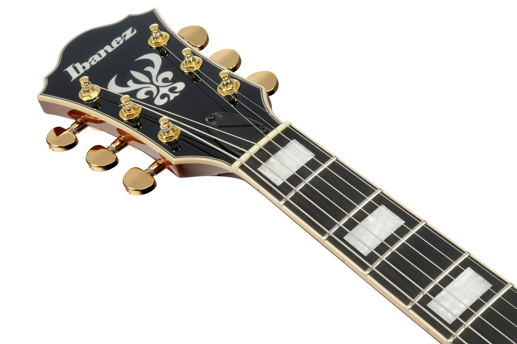 Ibanez AG95MGDA - AG Artcore Expressionist 6-String Electric Guitar - Dark Amber